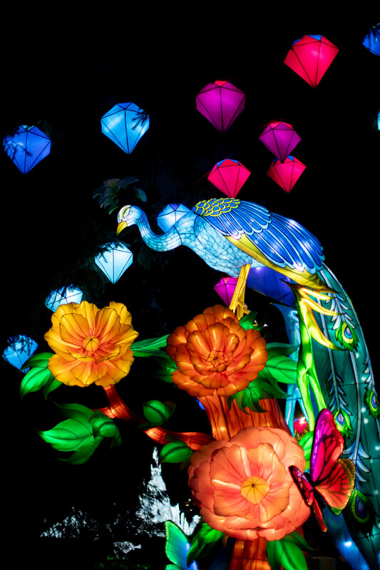 A colorful lantern in the shape of a peacock on a flower bush.